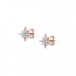 Sweetrock Silver Rose Gold & CZ Wind Rose Stud Earrings