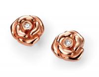 D For Diamonds Gold/Rose Gold Plated Earrings