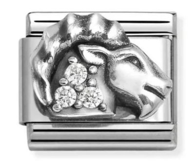 Nomination Silver Shine Zodiac Capricorn Charm.