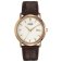 Citizen Gents Eco Drive Brown Strap Watch.